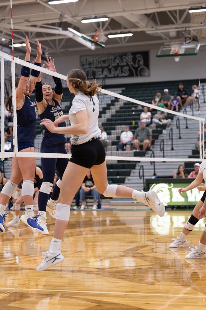 %_tempFileName1M6A5668%