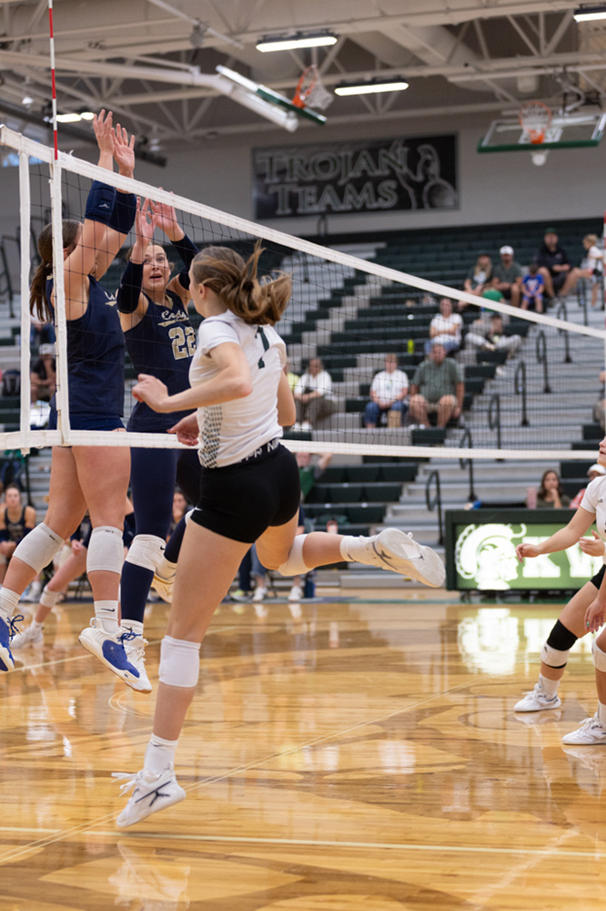 %_tempFileName1M6A5669%