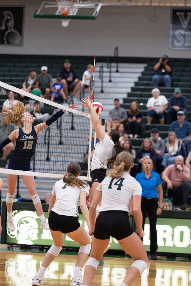 %_tempFileName1M6A5699%