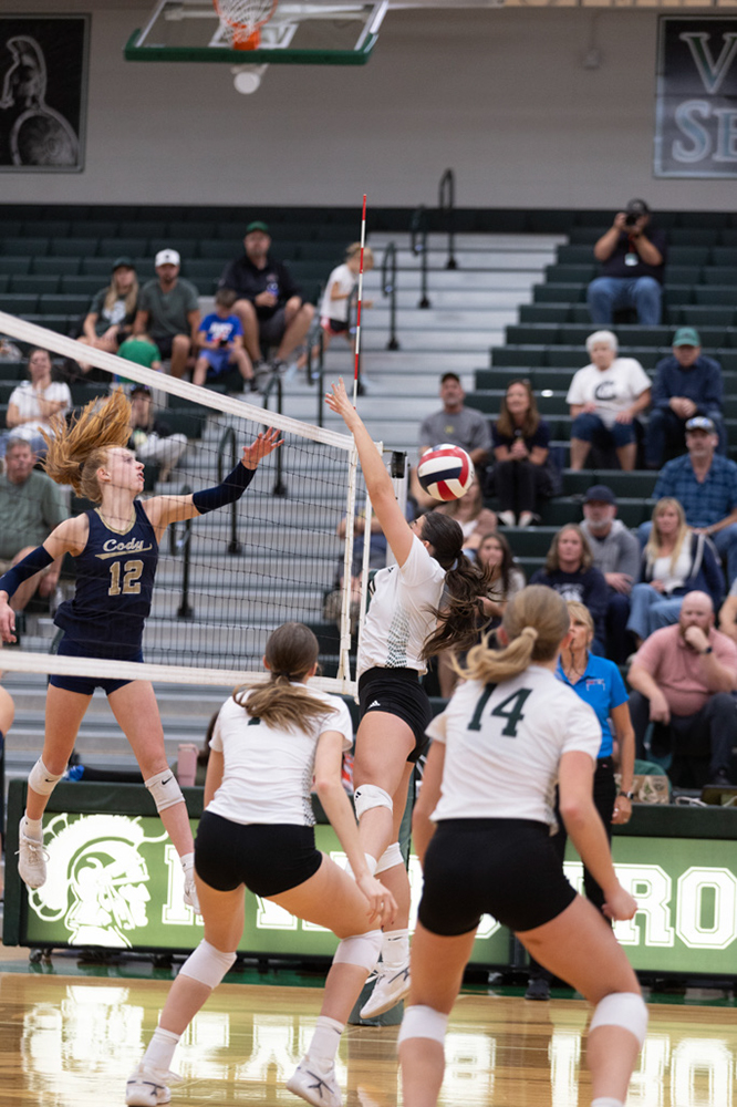 %_tempFileName1M6A5700%