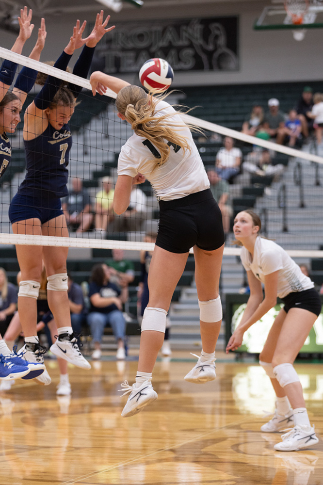 %_tempFileName1M6A5724%