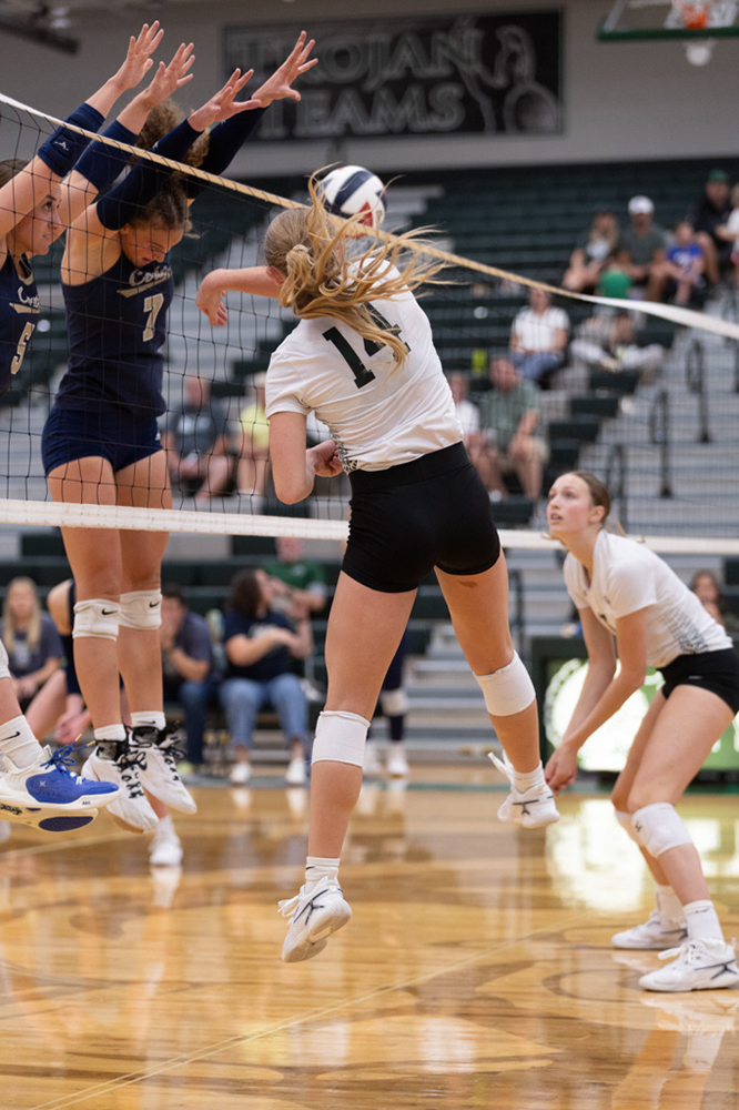 %_tempFileName1M6A5725%