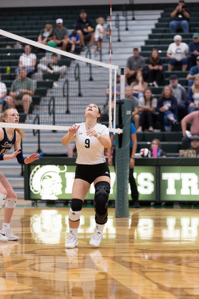 %_tempFileName1M6A5729%