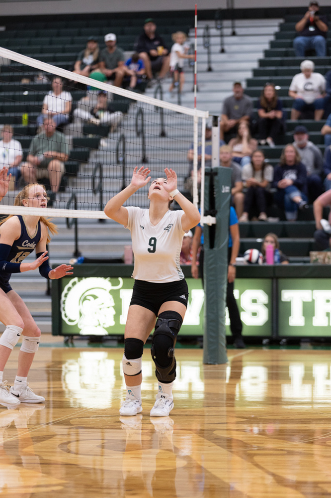 %_tempFileName1M6A5730%