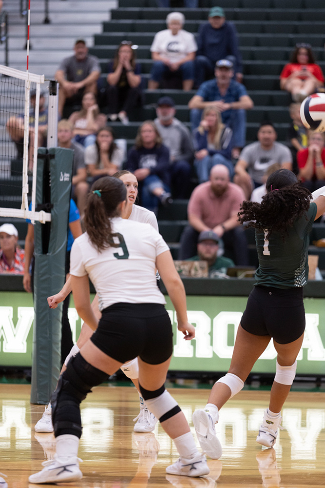 %_tempFileName1M6A5778%