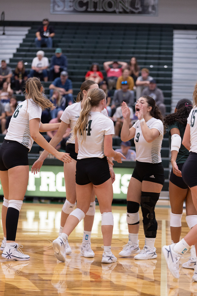 %_tempFileName1M6A5810%