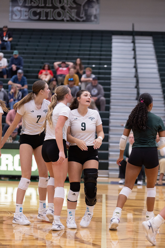 %_tempFileName1M6A5817%