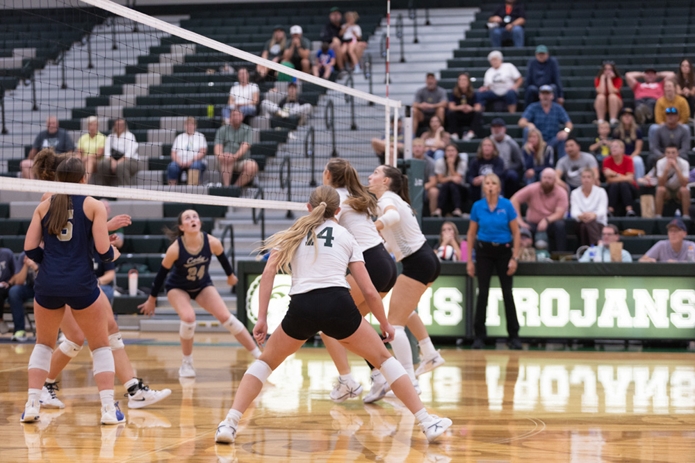 %_tempFileName1M6A5873%