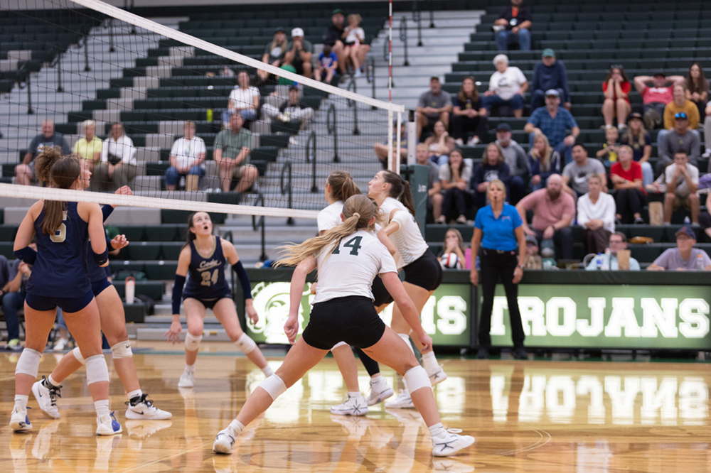 %_tempFileName1M6A5874%