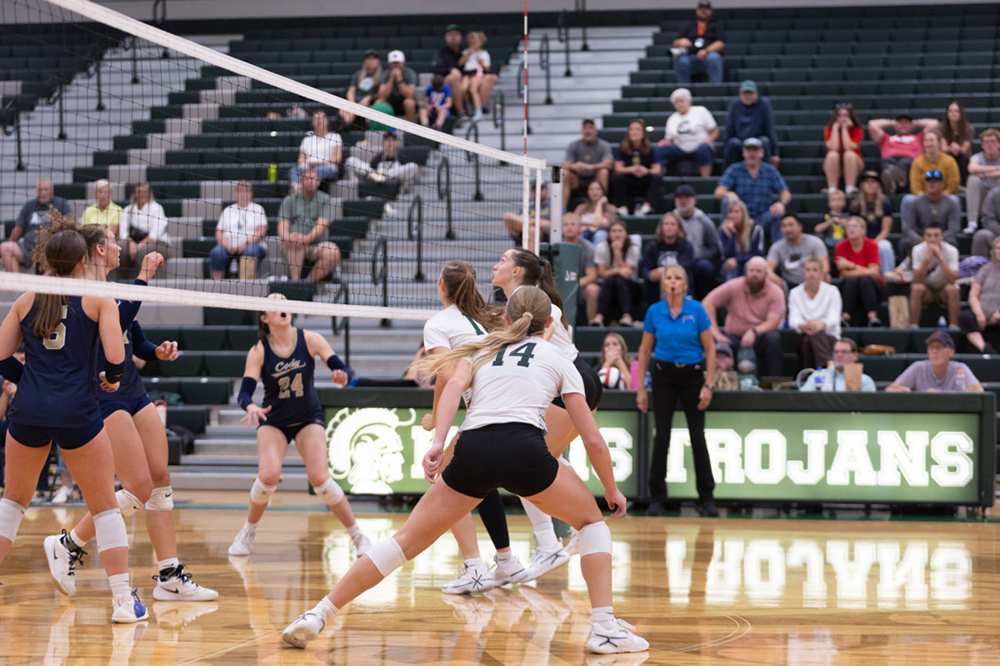 %_tempFileName1M6A5875%