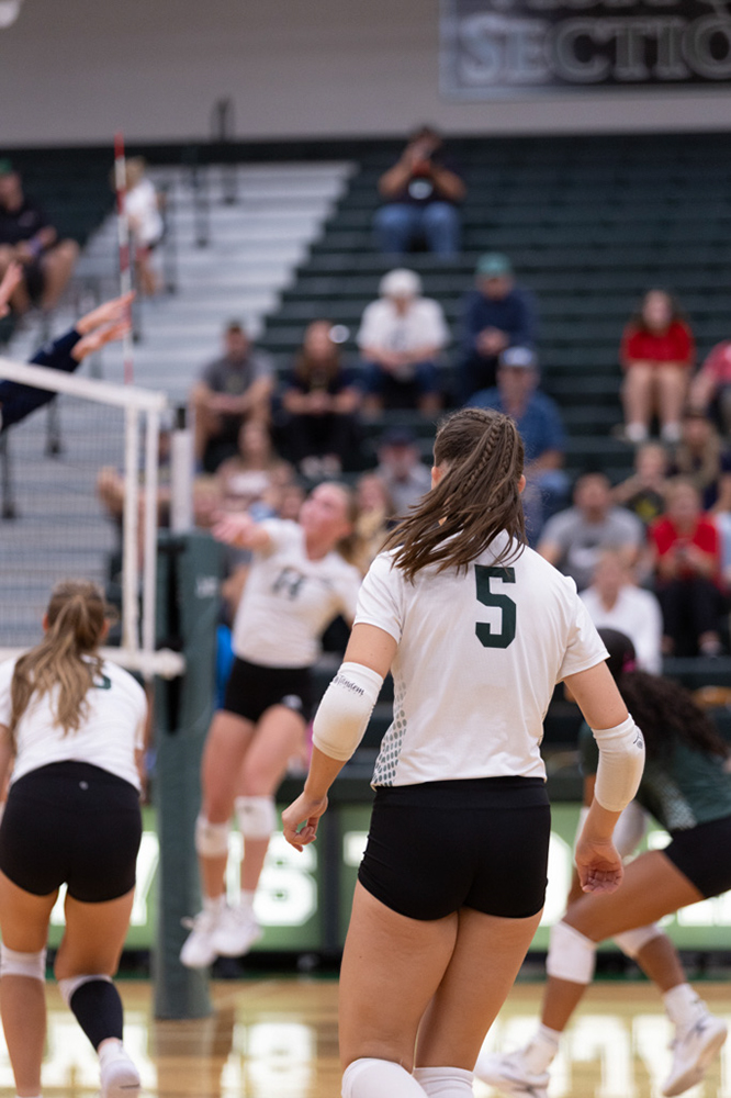 %_tempFileName1M6A5891%