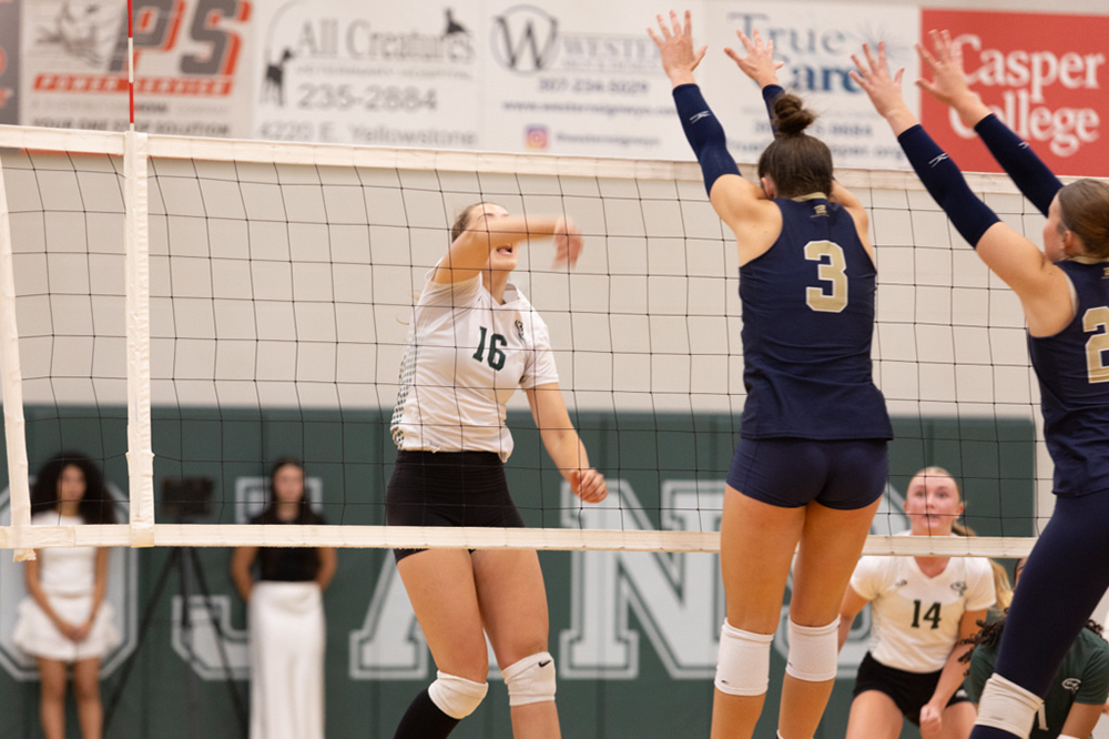 %_tempFileName1M6A5980%