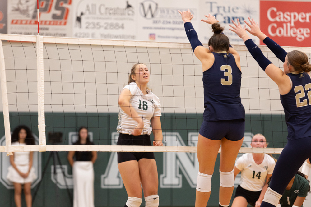 %_tempFileName1M6A5981%