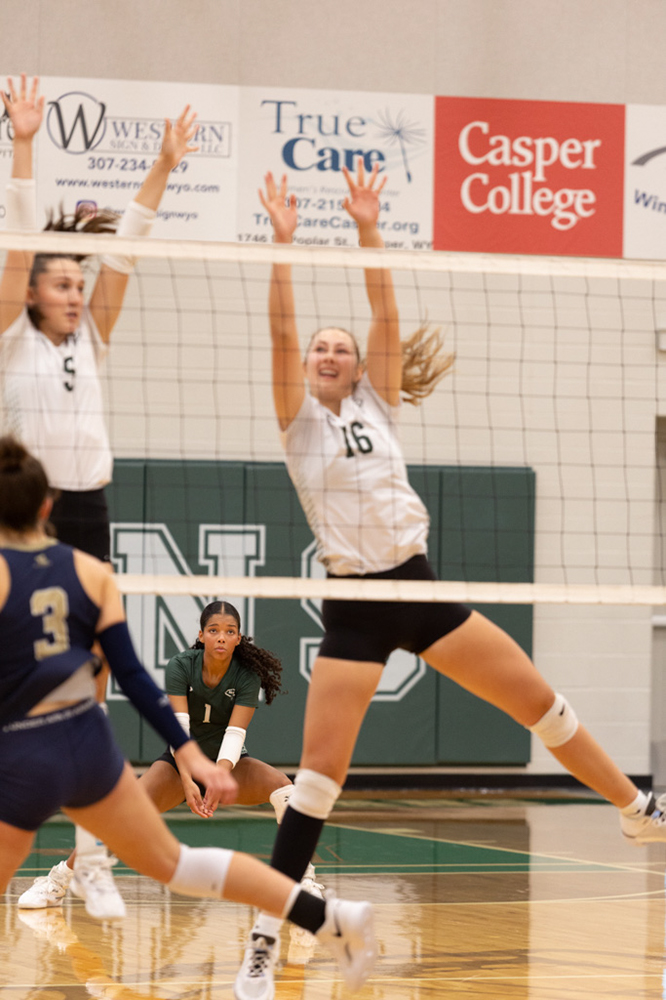 %_tempFileName1M6A5990%