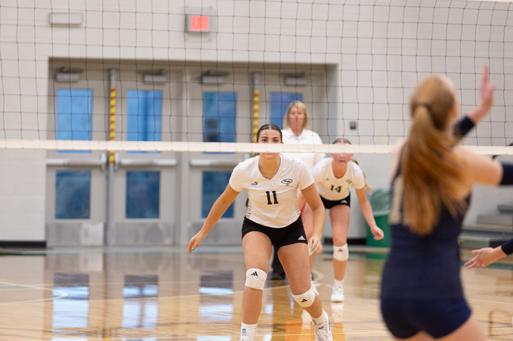 %_tempFileName1M6A5991%