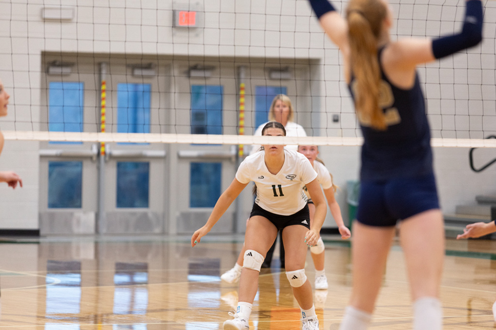 %_tempFileName1M6A5993%