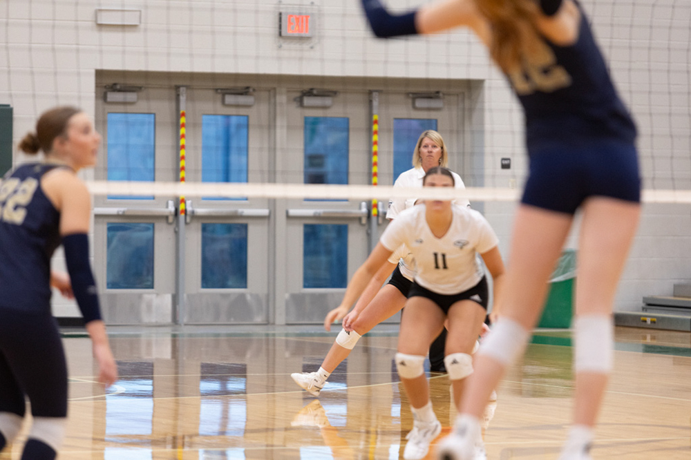 %_tempFileName1M6A5995%