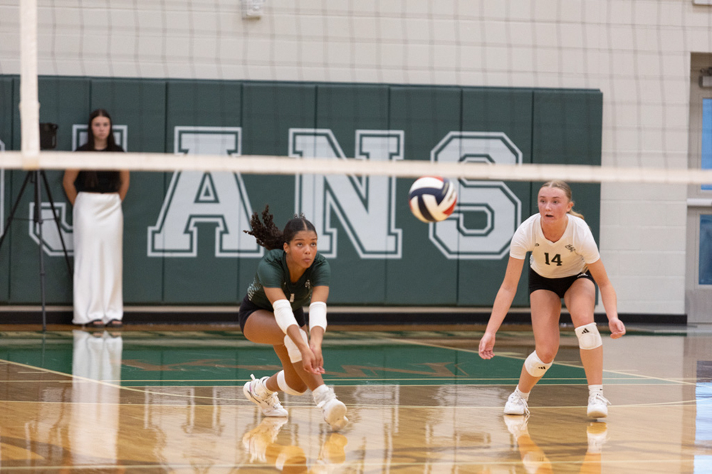 %_tempFileName1M6A6003%