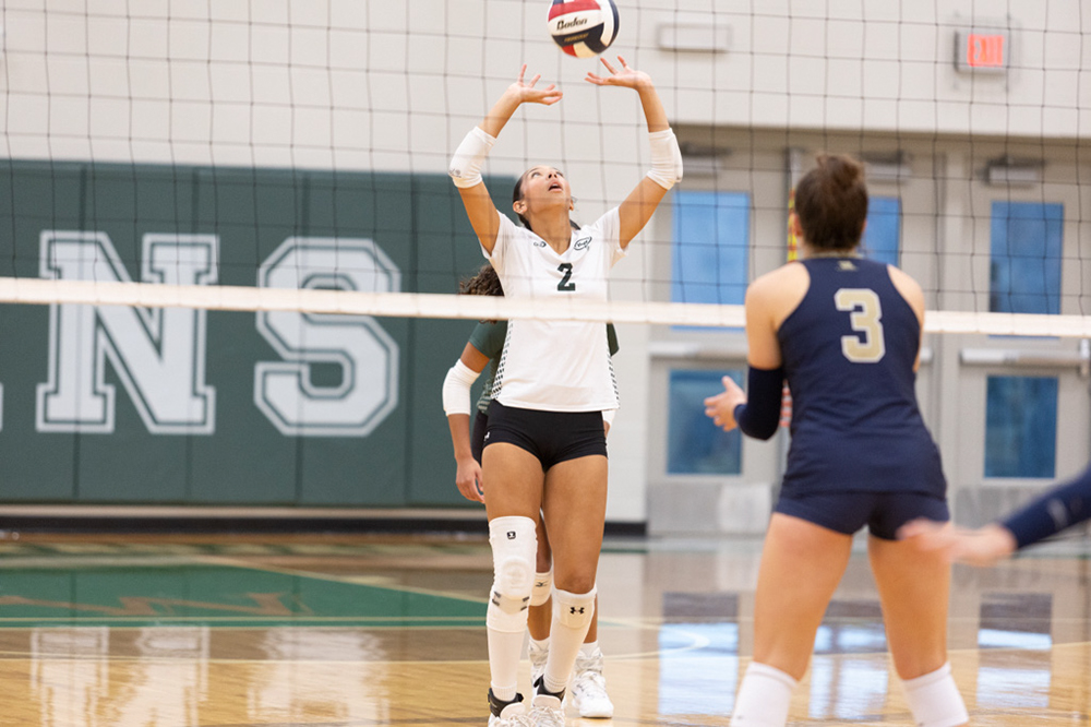 %_tempFileName1M6A6019%