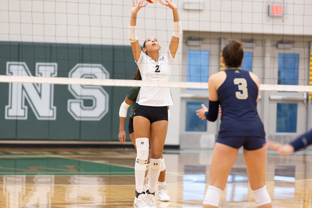 %_tempFileName1M6A6020%