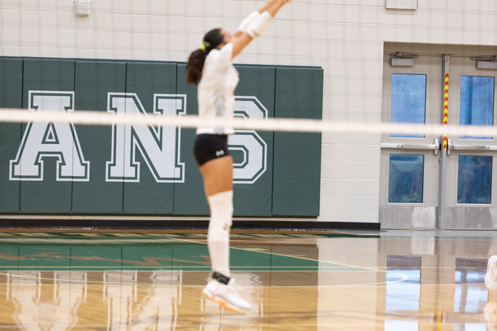 %_tempFileName1M6A6033%