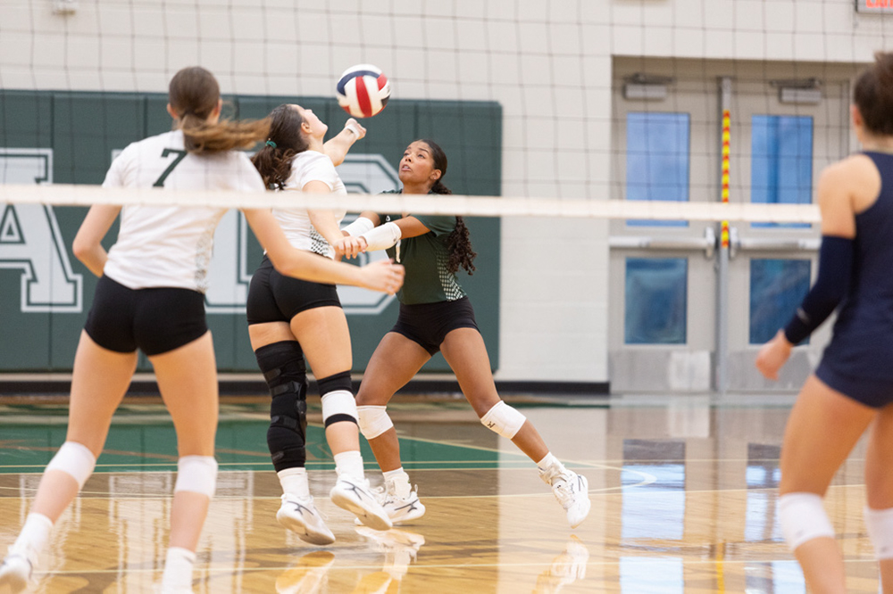 %_tempFileName1M6A6036%