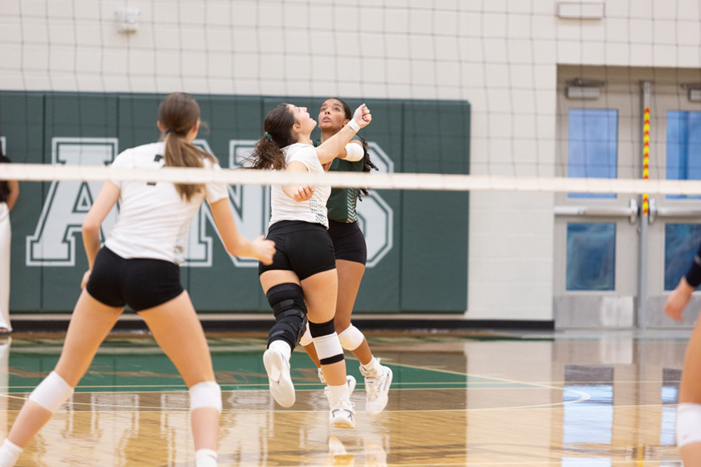 %_tempFileName1M6A6038%