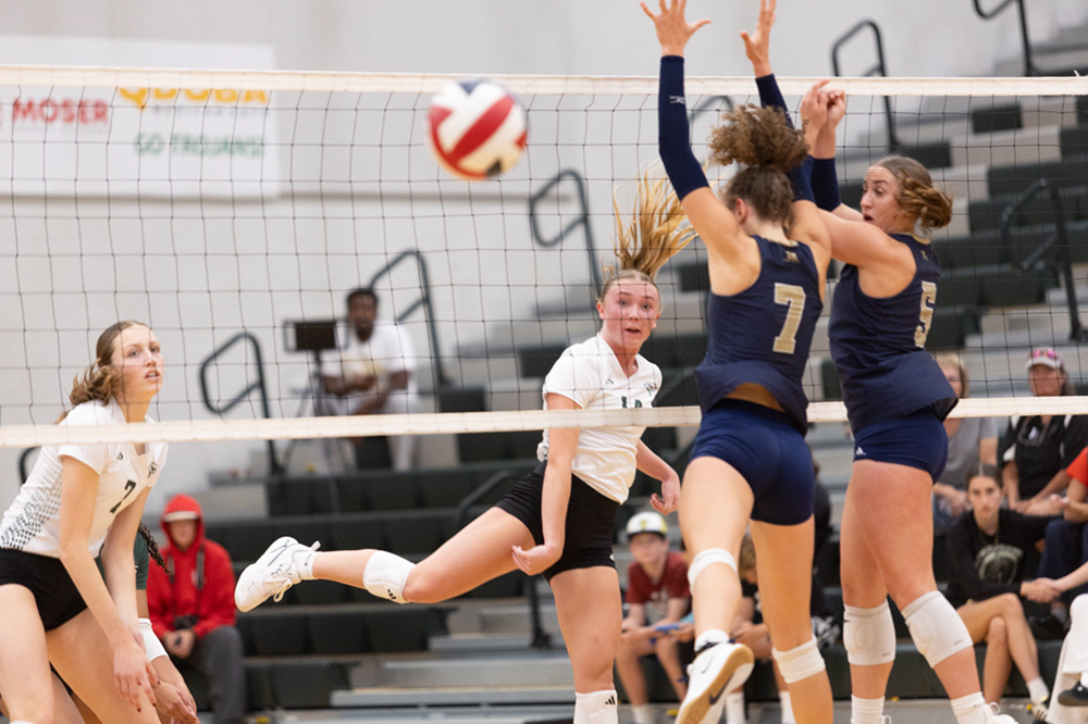 %_tempFileName1M6A6074%