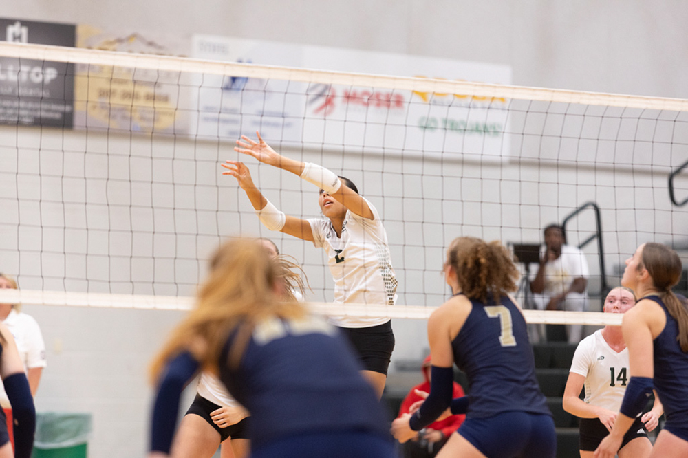 %_tempFileName1M6A6123%