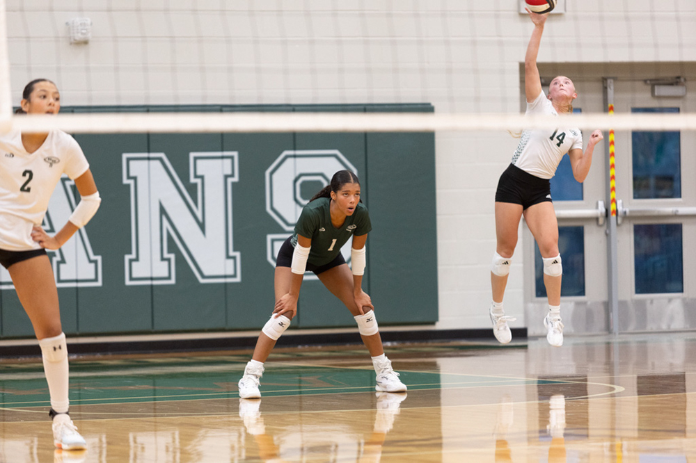 %_tempFileName1M6A6205%