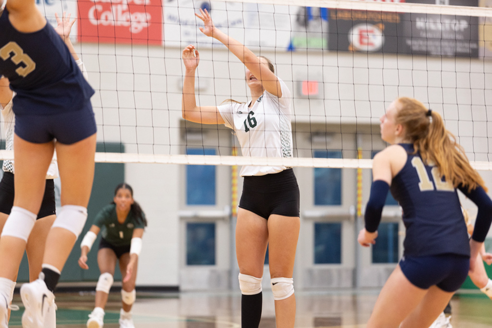 %_tempFileName1M6A6216%