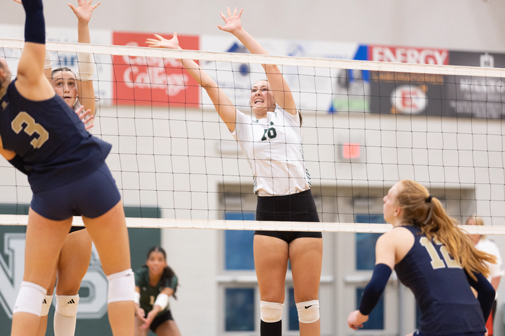 %_tempFileName1M6A6218%