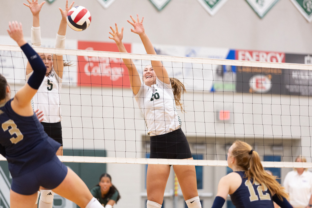 %_tempFileName1M6A6220%