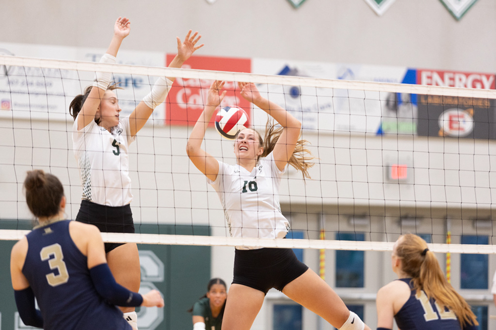 %_tempFileName1M6A6223%