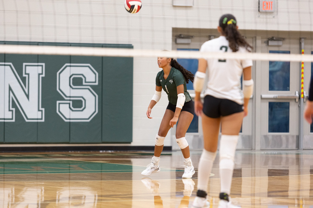 %_tempFileName1M6A6229%