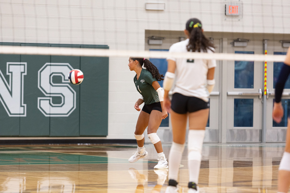 %_tempFileName1M6A6231%