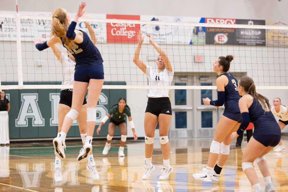 %_tempFileName1M6A6245%