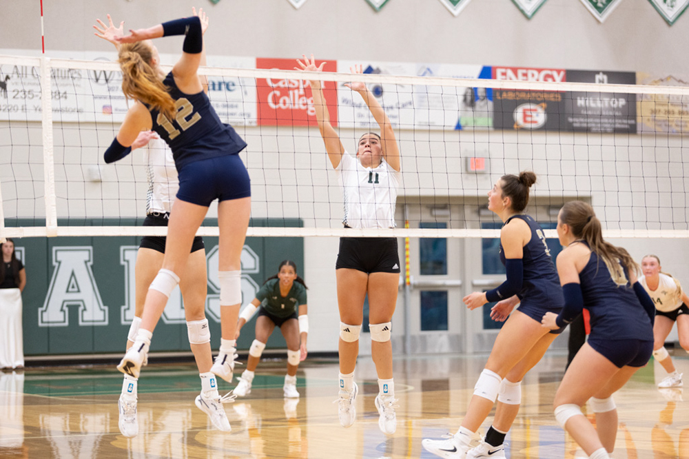 %_tempFileName1M6A6246%