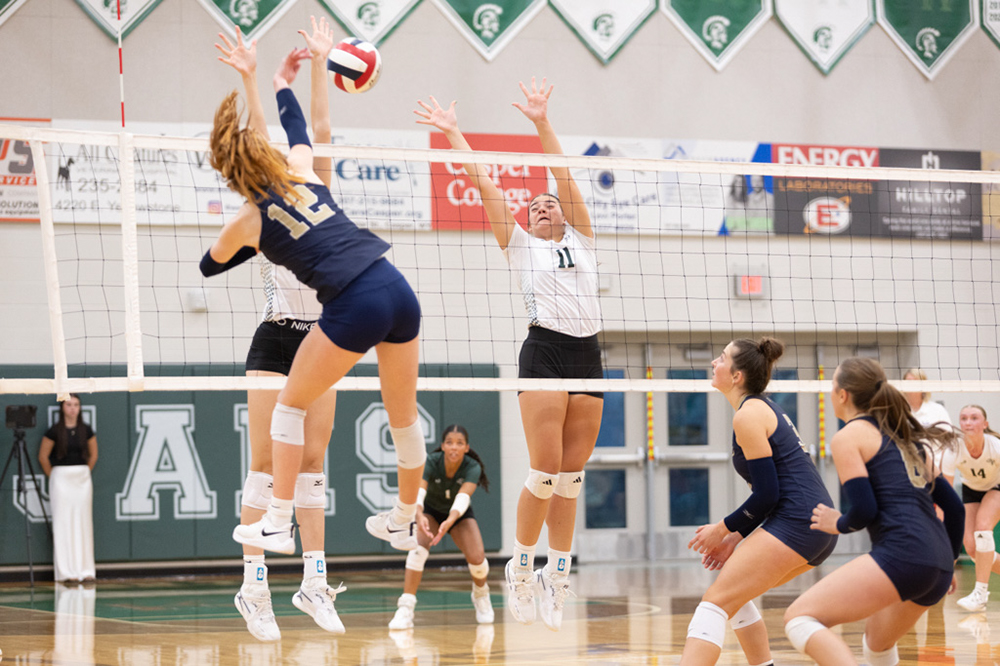 %_tempFileName1M6A6248%