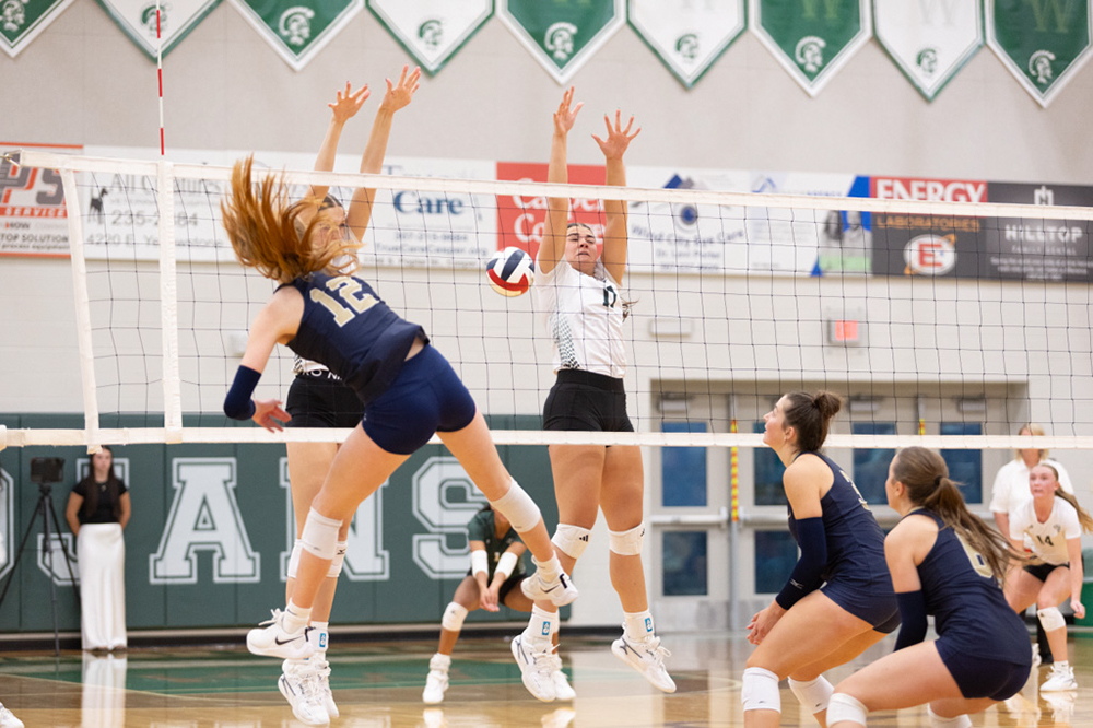 %_tempFileName1M6A6250%