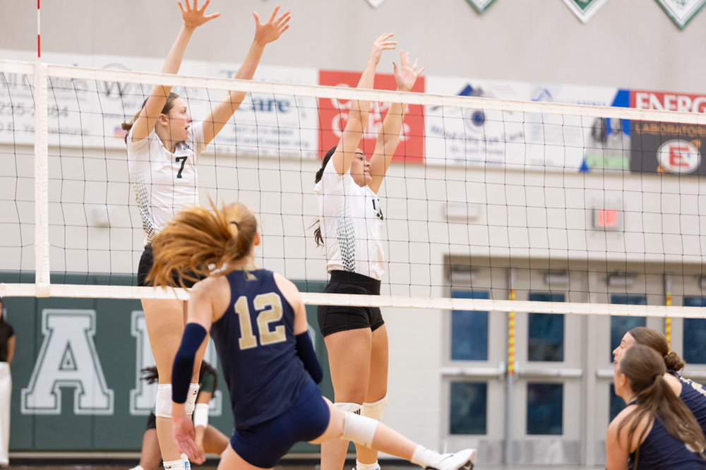 %_tempFileName1M6A6274%