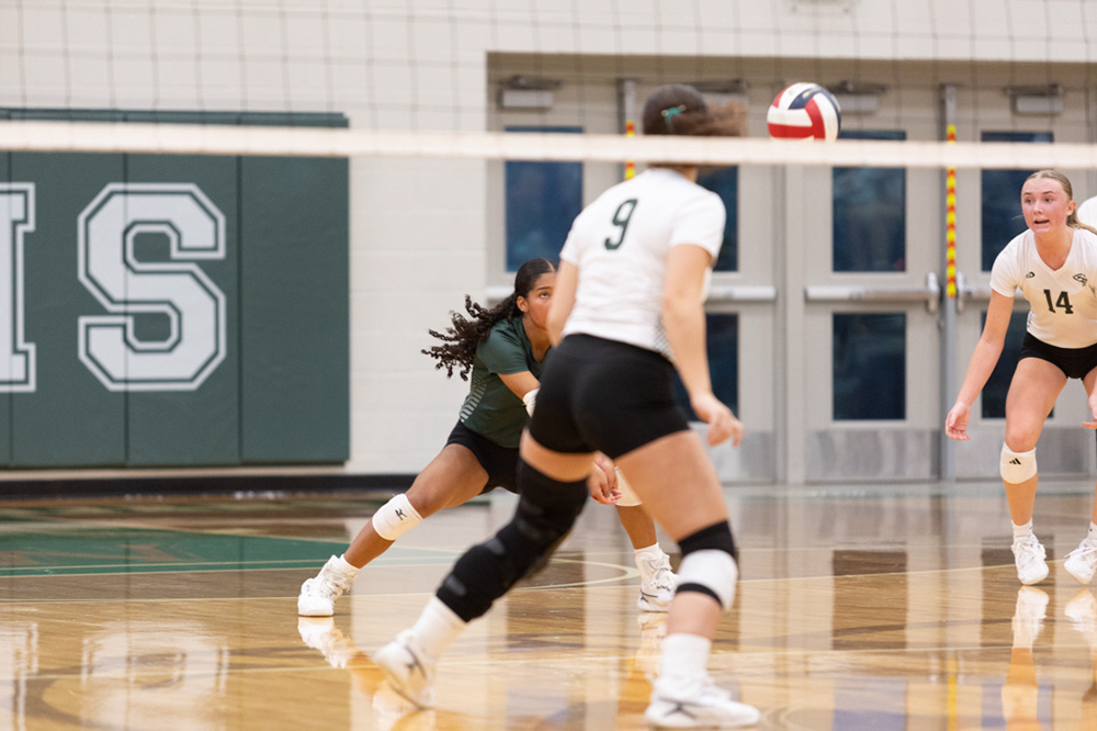 %_tempFileName1M6A6319%