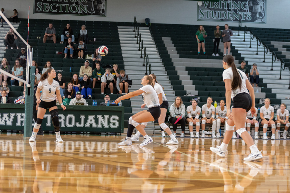 %_tempFileName1V7A0067%