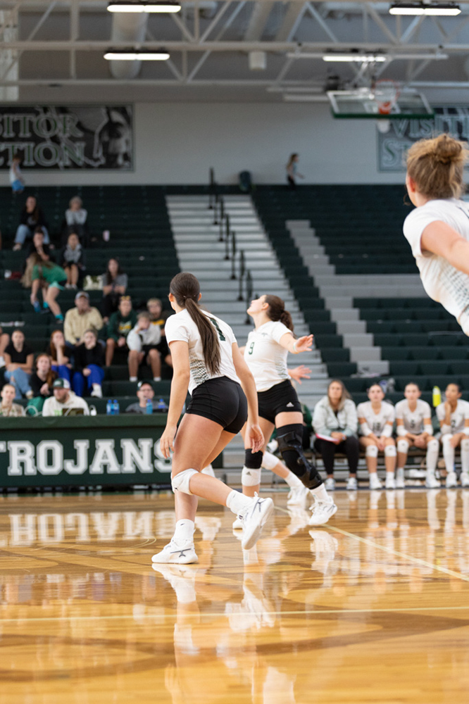 %_tempFileName1V7A0124%