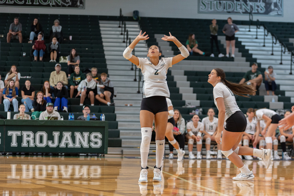 %_tempFileName1V7A0141%