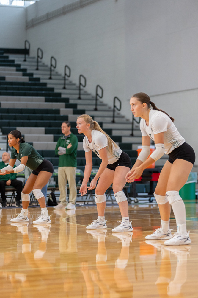 %_tempFileName1V7A0143%