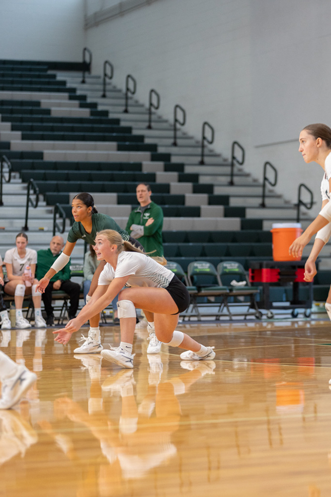 %_tempFileName1V7A0146%