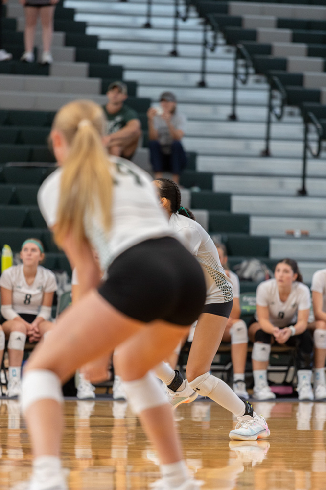 %_tempFileName1V7A0167%