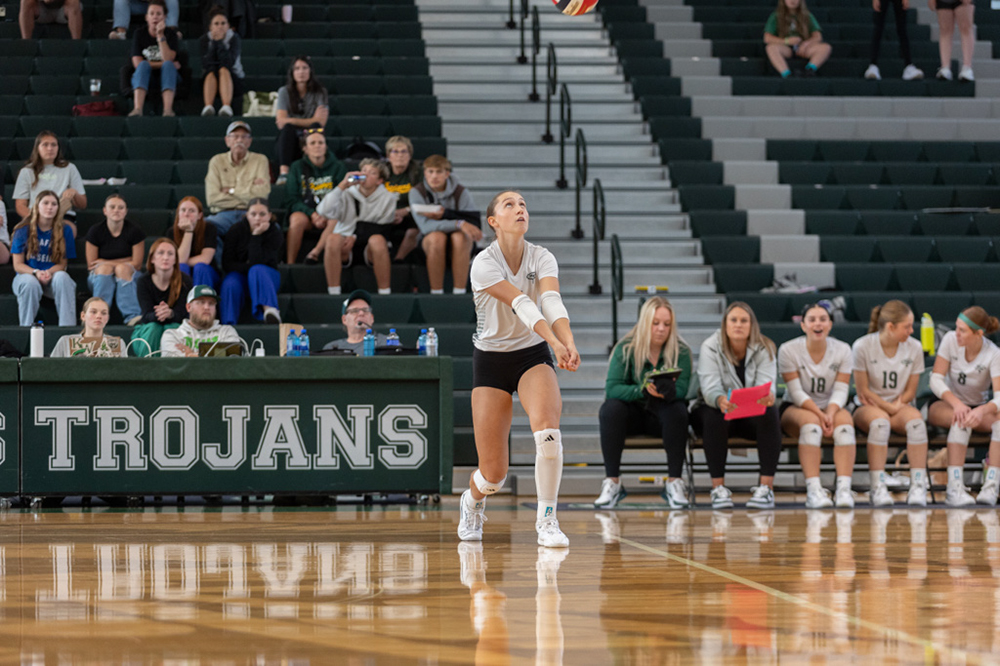 %_tempFileName1V7A0193%