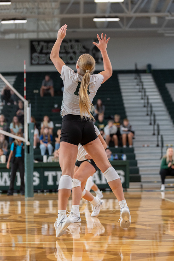 %_tempFileName1V7A0207%